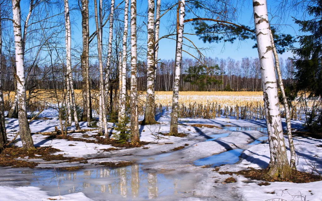 Фото русской весны