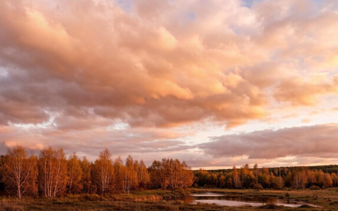 Осень задаёт загадки