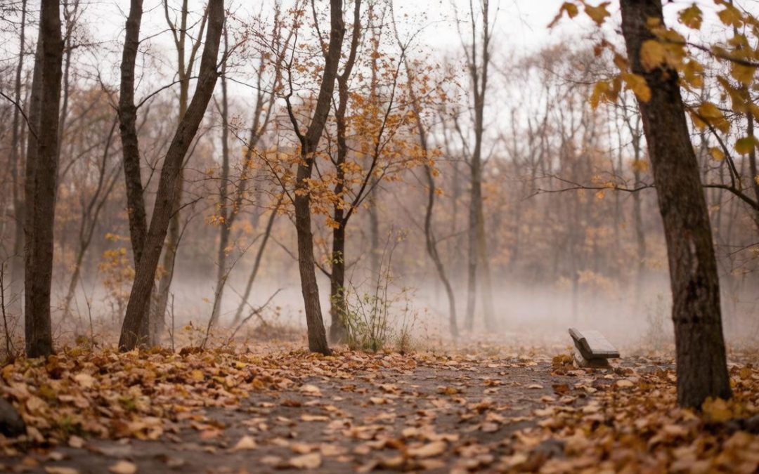 Вчера была златая осень
