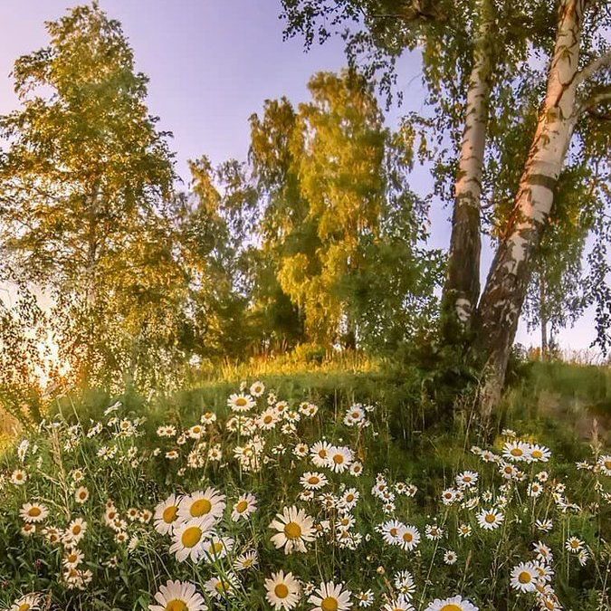 Природа — это символ красоты
